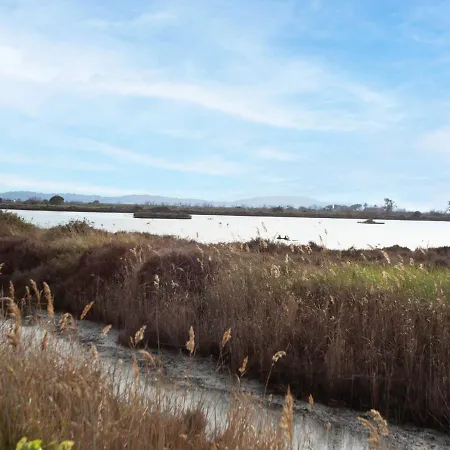 Port De La Gavine-25 By Interhome