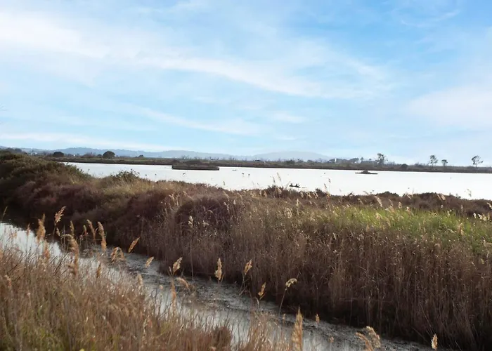 Port De La Gavine-25 By Interhome